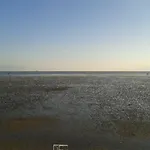 Ahoi בוסום