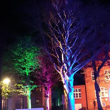 Ahoi דירה בוסום